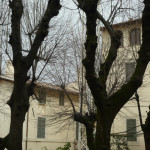 consorzio largo muzio clementi